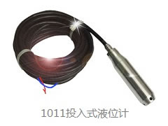 1011投入式液位計(jì)